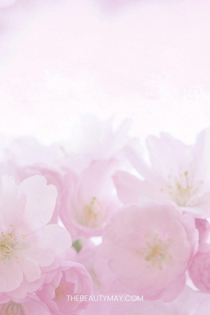 Aesthetic Pink Wallpaper Backgounds for iPhone - The Beauty May