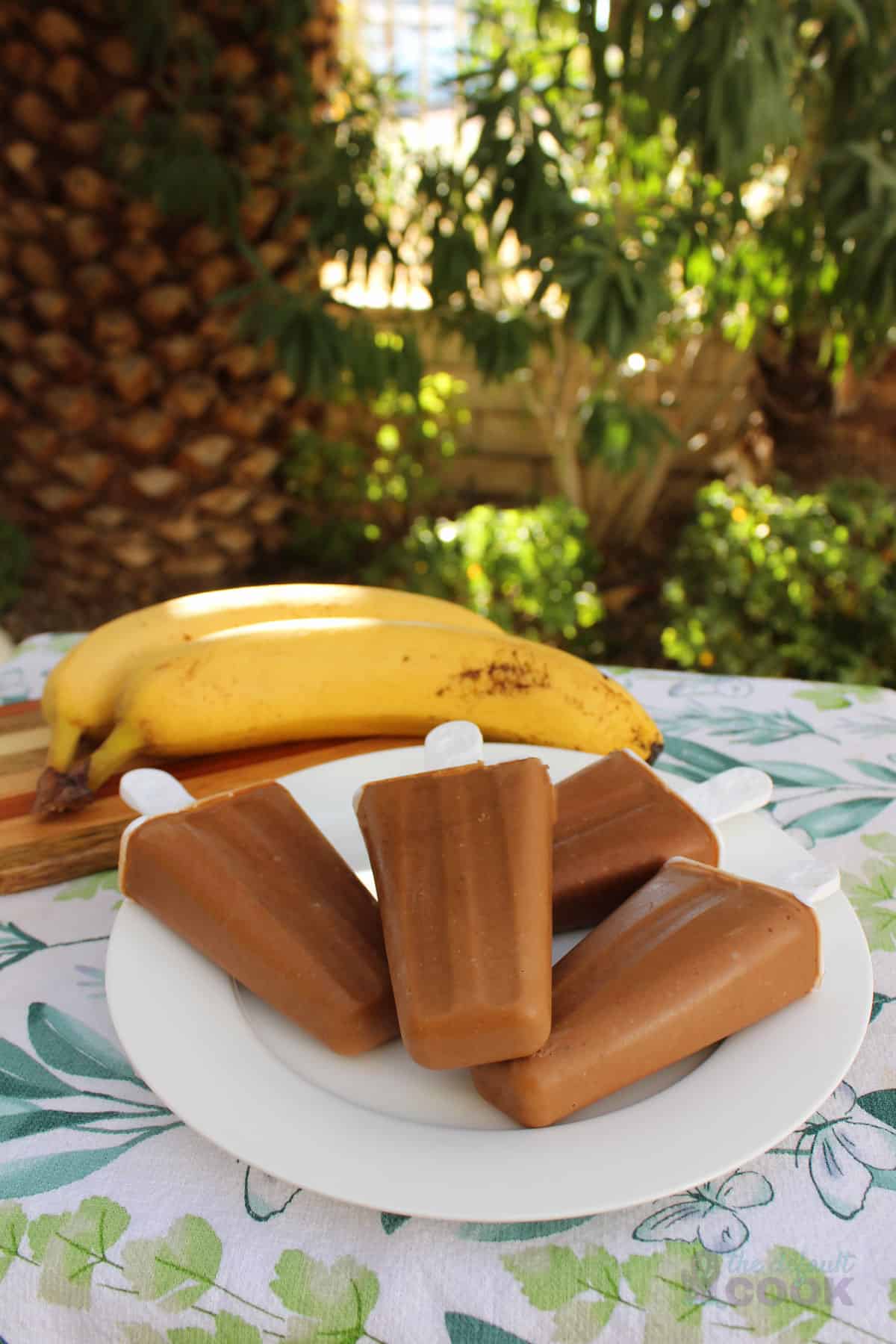 popsicle recipes chocolate